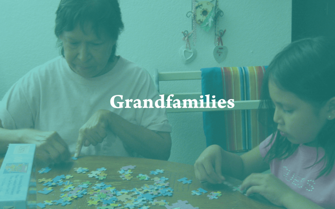 Kinship Services in Tribal Child Welfare Policy Toolkit